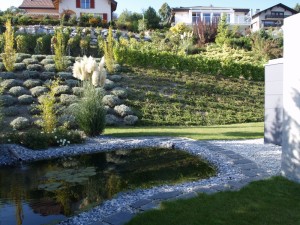 2012-3-pierre (23)